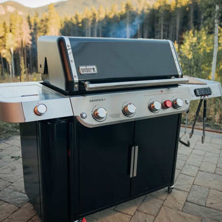 BARBECUE A GAS WEBER GENESIS EPX 435 Weber Barbecue a gas Il Mondo Del Barbecue
