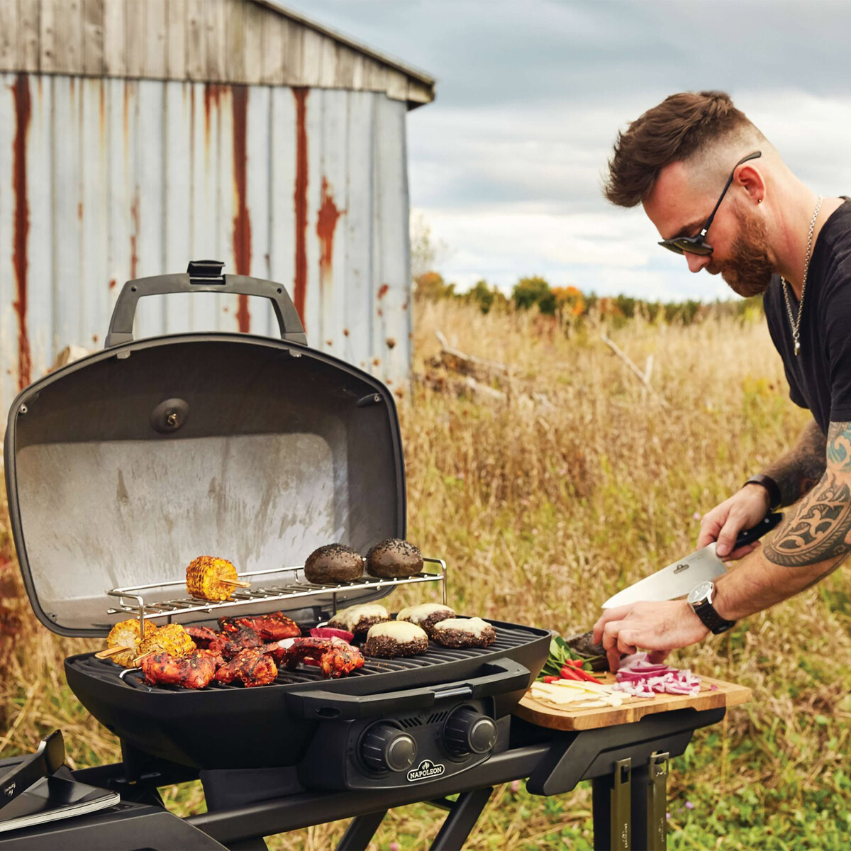 BARBECUE A GAS NAPOLEON TRAVELQ™ PRO285X PHANTOM