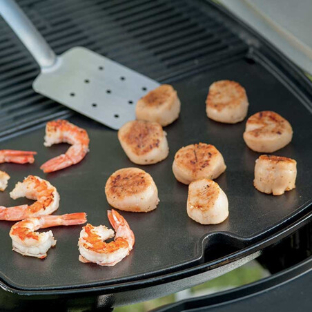 PIASTRA IN GHISA PER BARBECUE WEBER Q SERIE 1000
