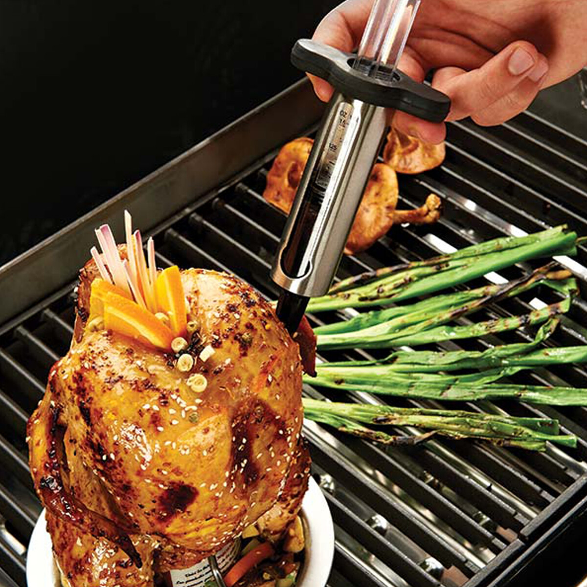 SIRINGA PER MARINATE