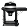 BARBECUE A CARBONE NAPOLEON PRO22CK-C3
