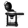 BARBECUE A CARBONE NAPOLEON PRO22CK-C3 Napoleon Barbecue a carbone | Il Mondo Del Barbecue