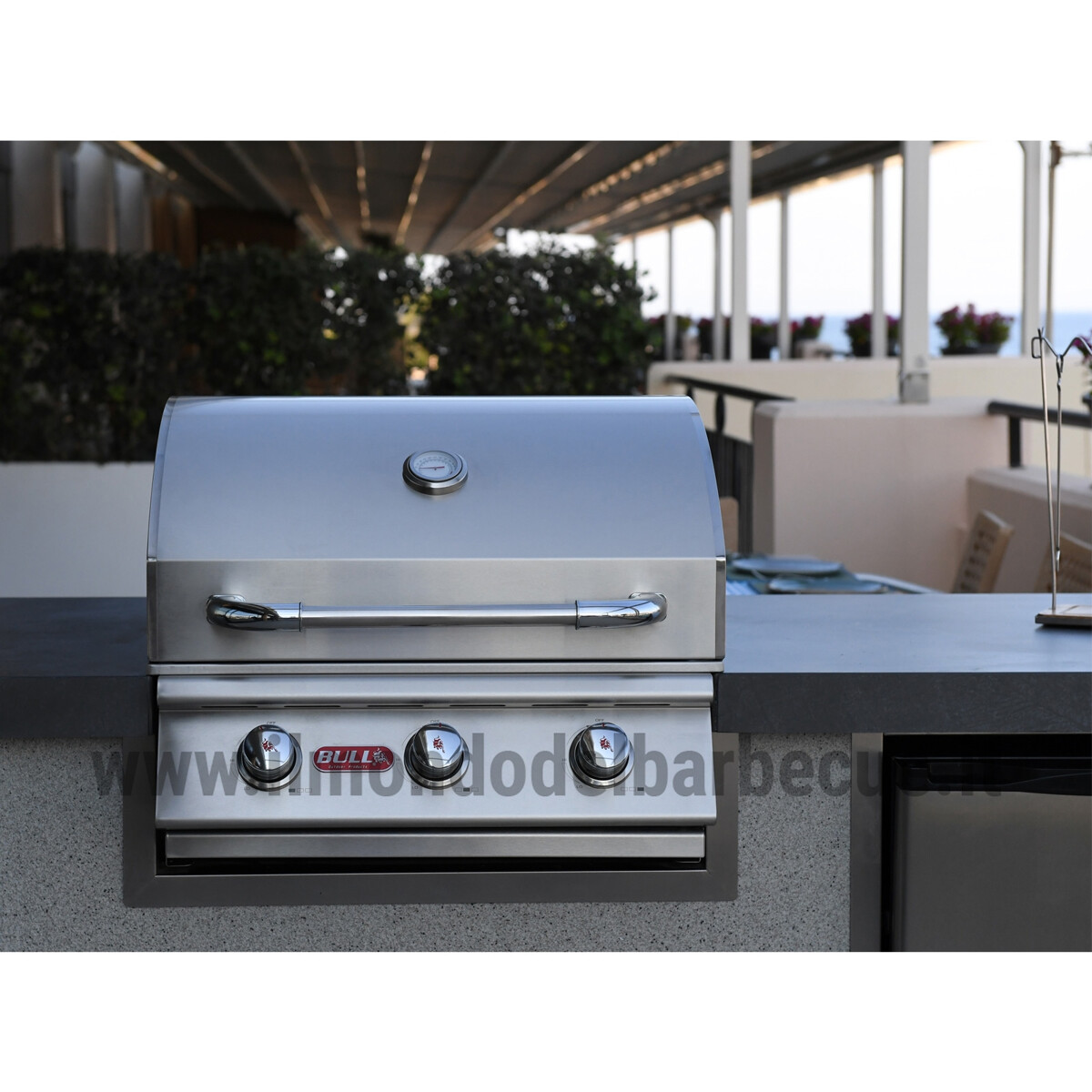 BARBECUE A GAS BULL EUROPE STEER DA INCASSO