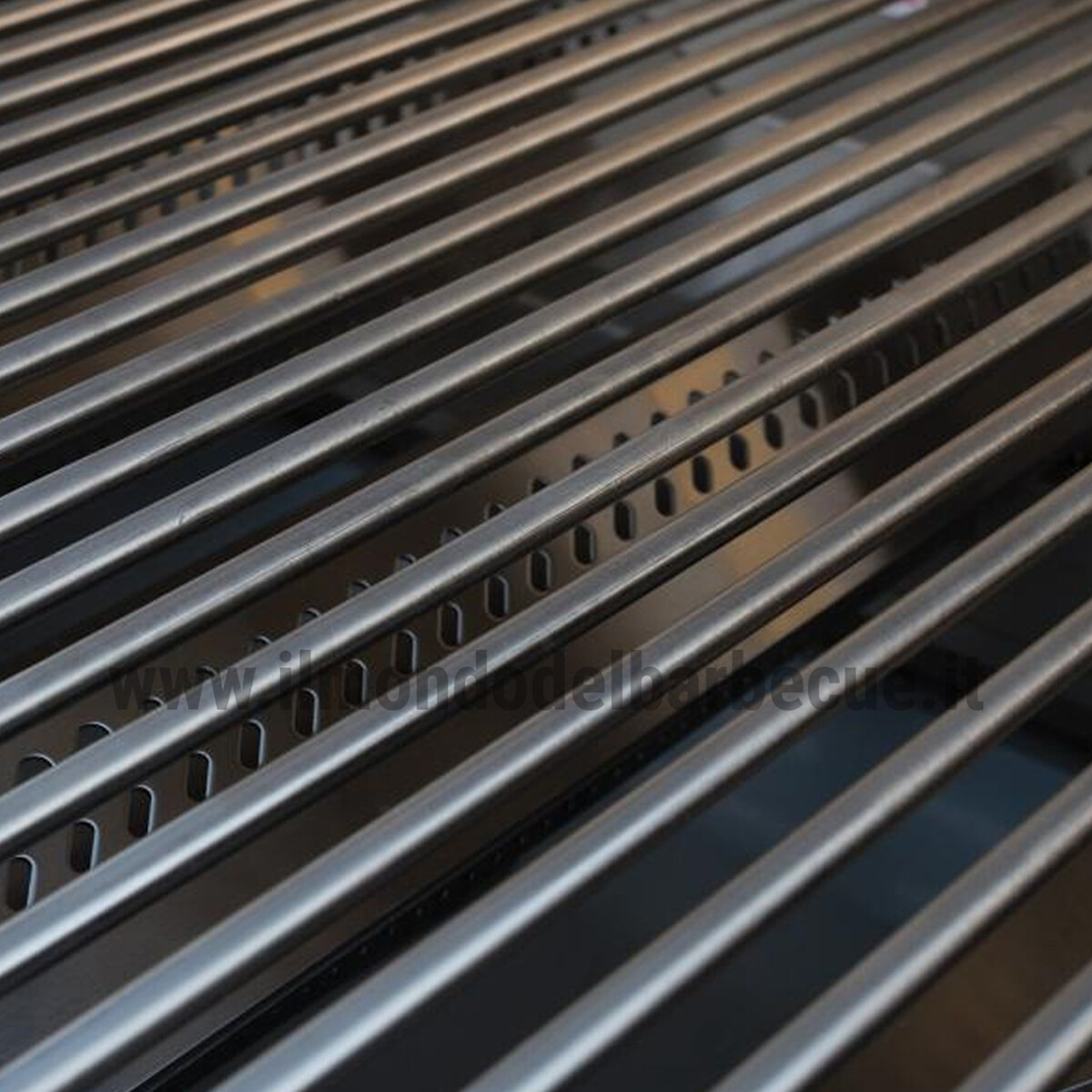 BARBECUE A GAS BULL STEER