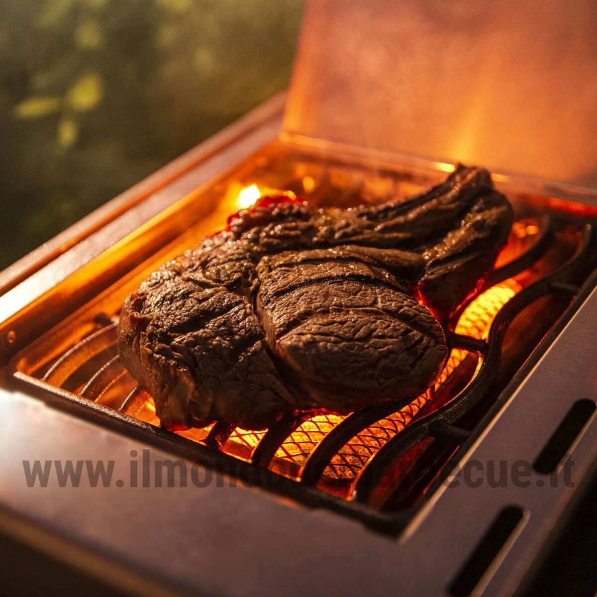 BARBECUE A GAS NAPOLEON ROGUE RSE625RSIB