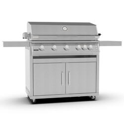 BRABURA FUSION RS INOX 500 CON CARRELLO