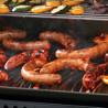 BARBECUE A GAS NAPOLEON ROGUE RPS425RSIBPK-GPL Napoleon Barbecue a gas | Il Mondo Del Barbecue BARBECUE A GAS NAPOLEON ROGUE RPS425RSIBPK-GPL Napoleon Barbecue a gas | Il Mondo Del Barbecue