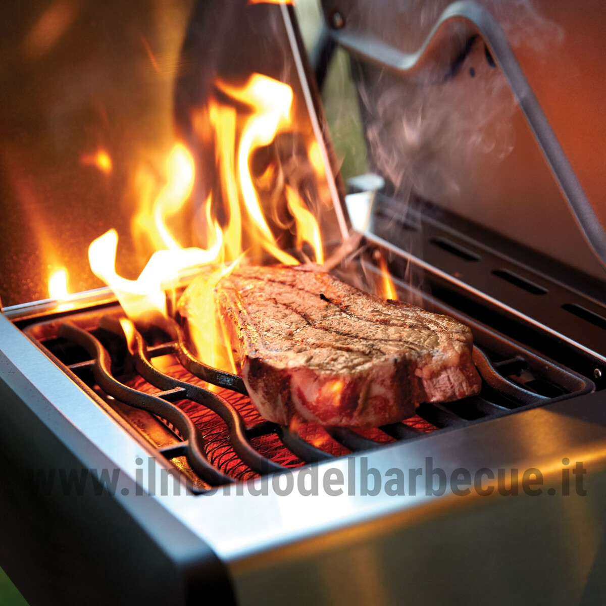 BARBECUE A GAS NAPOLEON ROGUE RSE425RSIB