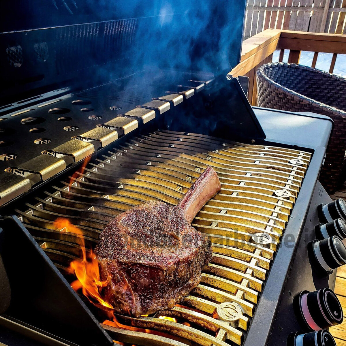 BARBECUE A GAS NAPOLEON PRESTIGE 500 PHANTOM