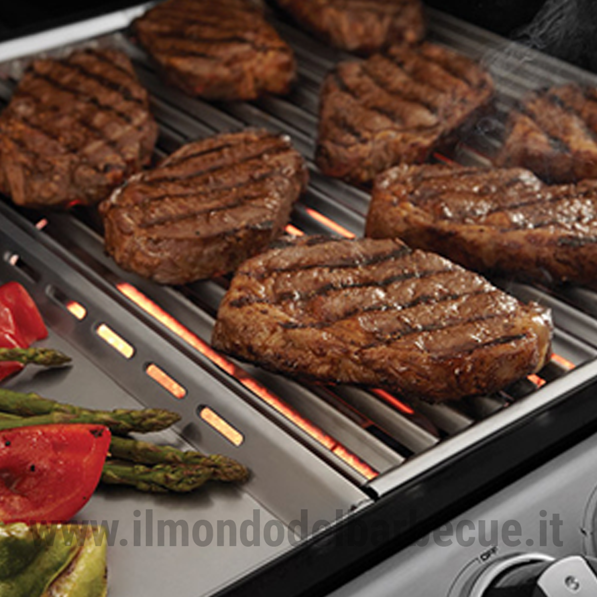 DOLCEVITA TURBO ELITE 2