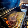 BARBECUE A GAS NAPOLEON PRESTIGE 500 PHANTOM BARBECUE A GAS NAPOLEON PRESTIGE 500 PHANTOM