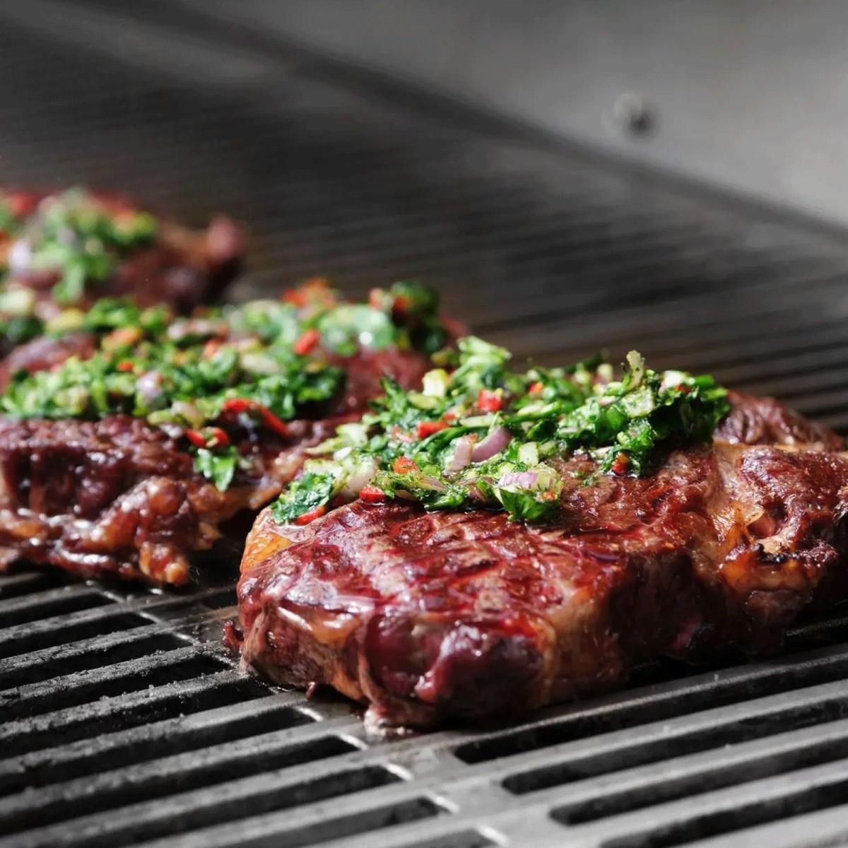 FLAMMKRAFT BLOCK Ds BUILT-IN (GEN.5) Flammkraft Barbecue da incasso | Il Mondo Del Barbecue