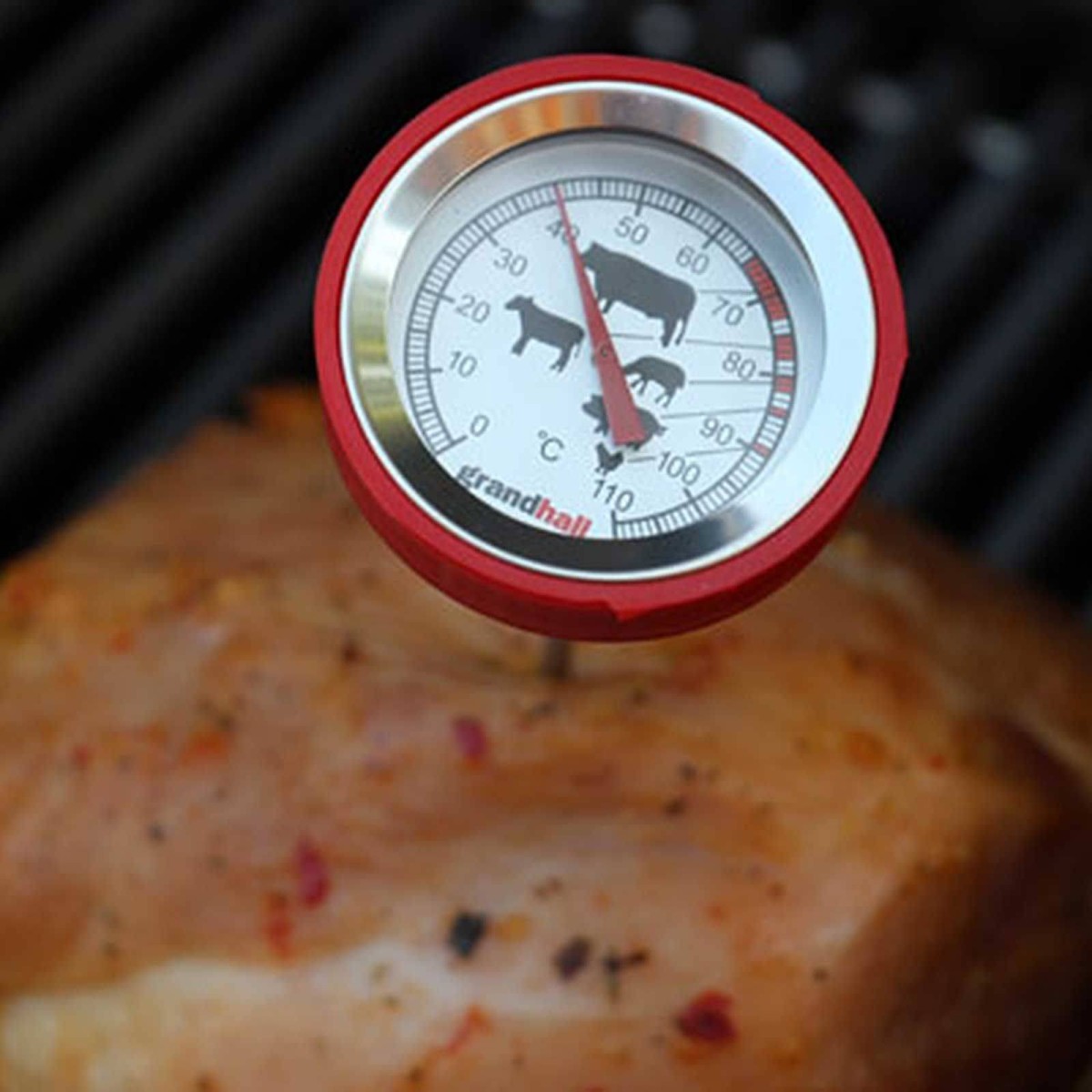 TERMOMETRO PER CARNE GRANDPRO | Il Mondo Del Barbecue TERMOMETRO PER CARNE GRANDPRO | Il Mondo Del Barbecue