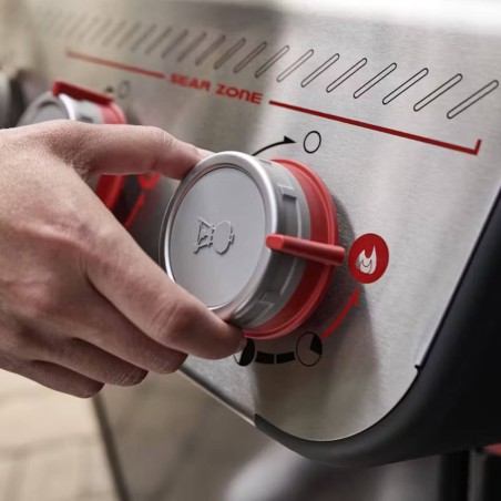 BARBECUE A GAS WEBER GENESIS E-335
