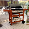 BARBECUE A GAS DOLCEVITA EURO 3 DA INCASSO BARBECUE A GAS DOLCEVITA EURO 3 DA INCASSO