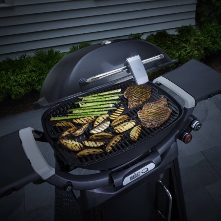LUCE GRILL 'N' GO PER SERIE Q3000 | Il Mondo del Barbecue