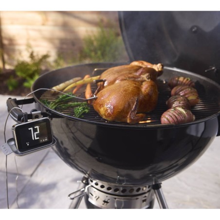 DISPLAY SMART HUB WEBER