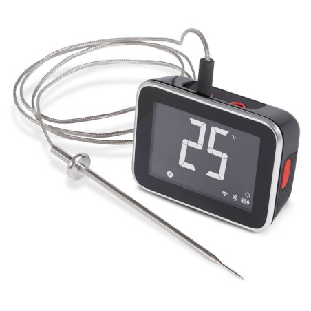 DISPLAY SMART HUB WEBER