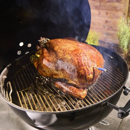 SONDA SMART PLUS WIFI/BLUETOOTH CON BOX DI RICARICA