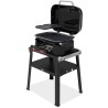BARBECUE ELETTRICO WEBER LUMIN CON SUPPORTO Weber Barbecue elettrici | Il Mondo Del Barbecue