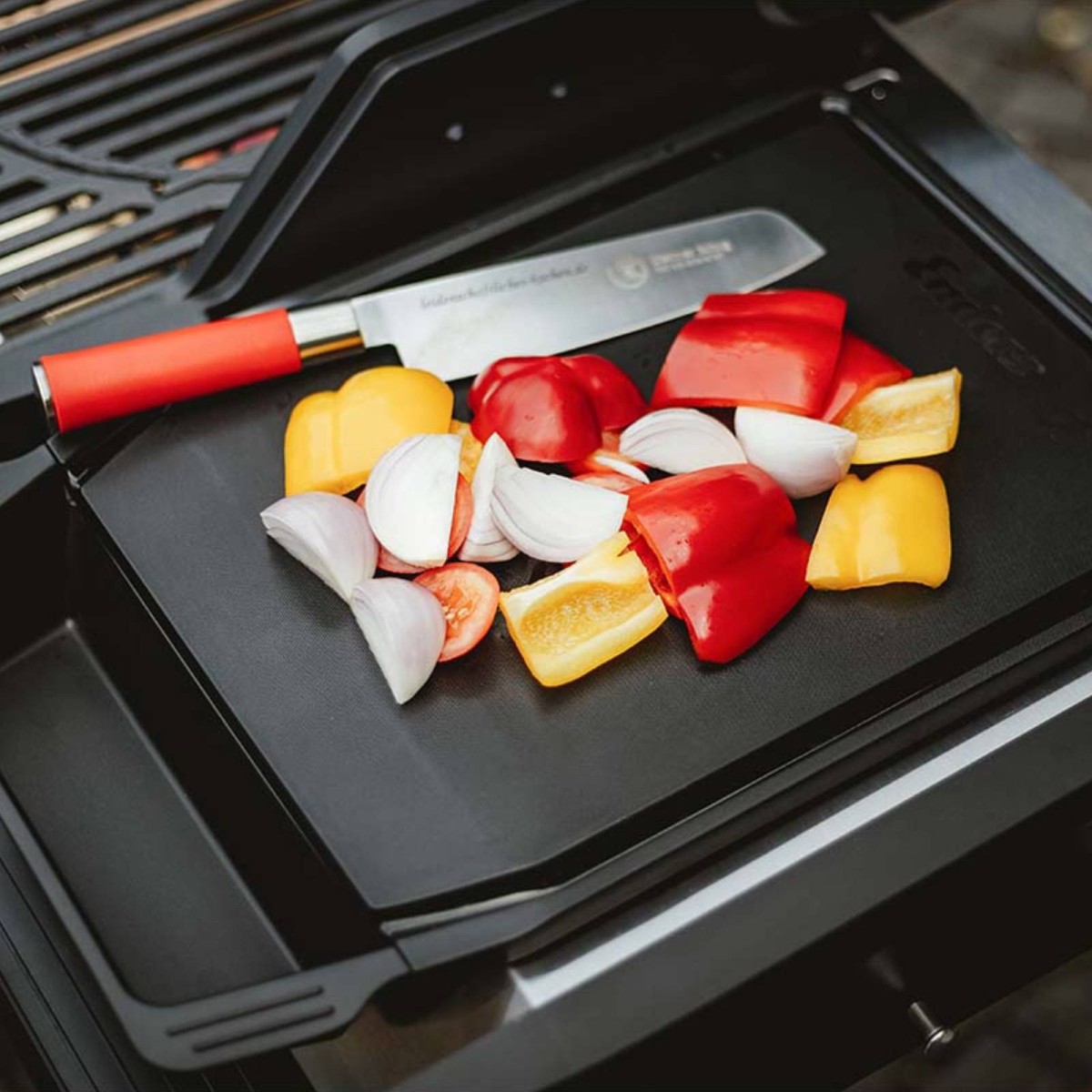TAGLIERE MAGNETICO ENDERS | Il Mondo del Barbecue