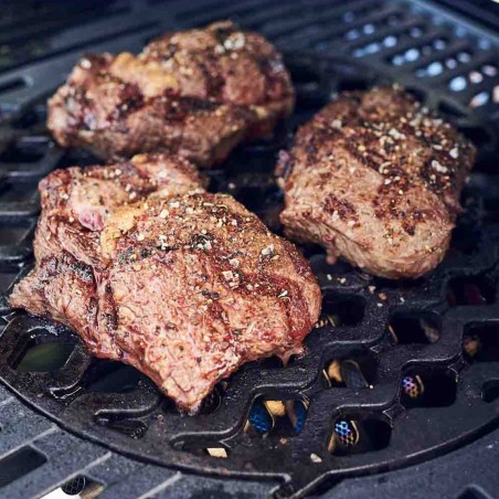 GRIGLIA DI ROSOLATURA SWITCH ENDERS | Il Mondo del Barbecue