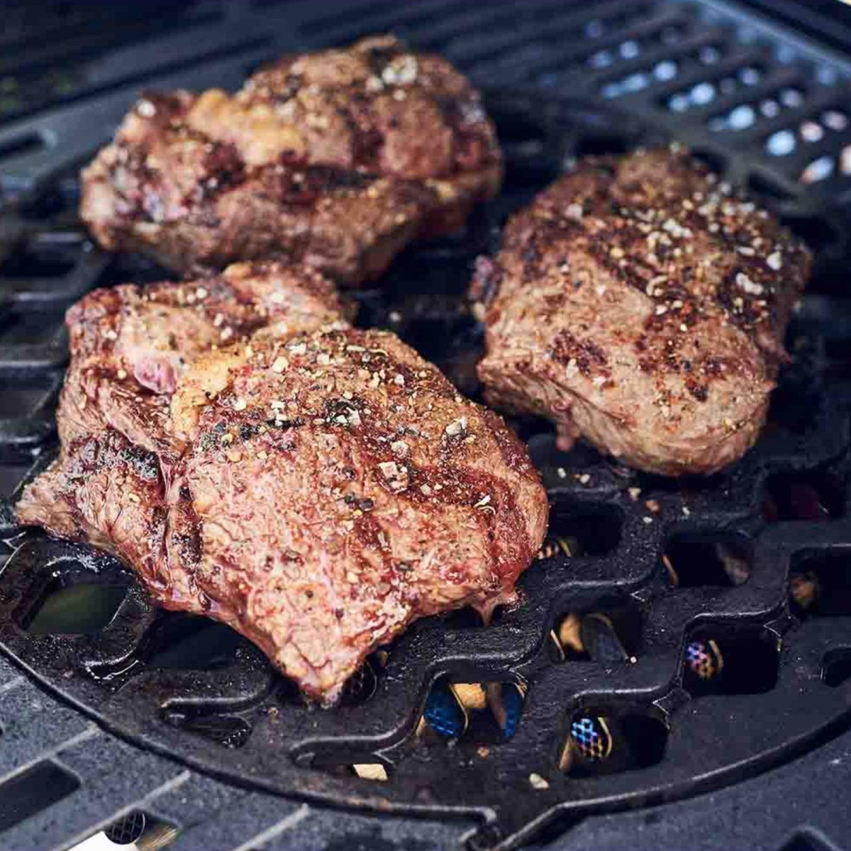 GRIGLIA DI ROSOLATURA SWITCH ENDERS | Il Mondo del Barbecue