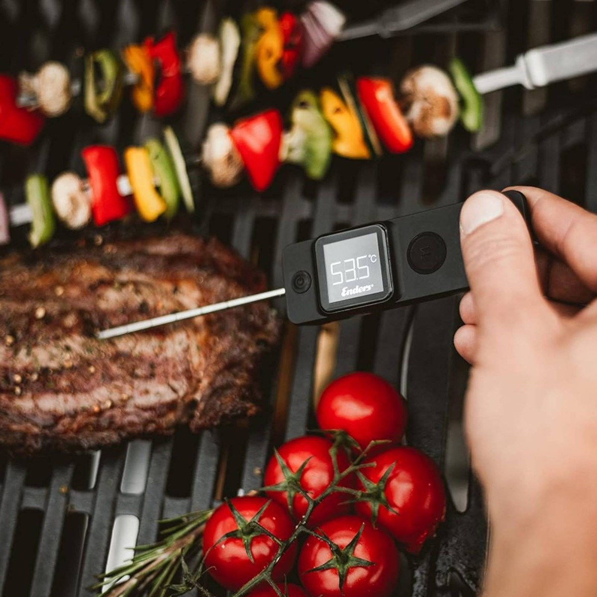 TERMOMETRO PREMIUM ENDERS | Il Mondo del Barbecue
