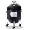 AFFUMICATORE NAPOLEON APOLLO AS22K