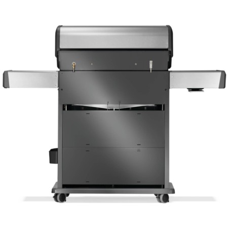 BARBECUE A GAS NAPOLEON ROGUE RPS525RSIBPSS-GPL