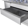 BARBECUE A GAS NAPOLEON PRESTIGE PRO665VXRSIBPSS GPL Napoleon Barbecue a gas | Il Mondo Del Barbecue