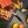 COLTELLO SPILUCCHINO