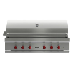 BARBECUE A GAS WOLF 54 DA INCASSO