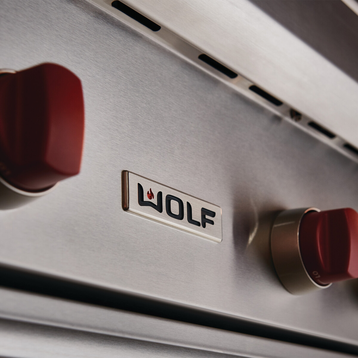 BARBECUE A GAS WOLF 54 DA INCASSO