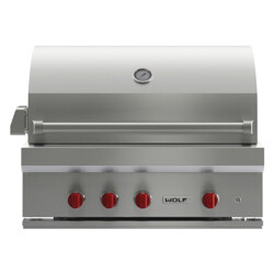 BARBECUE A GAS WOLF 36 DA INCASSO