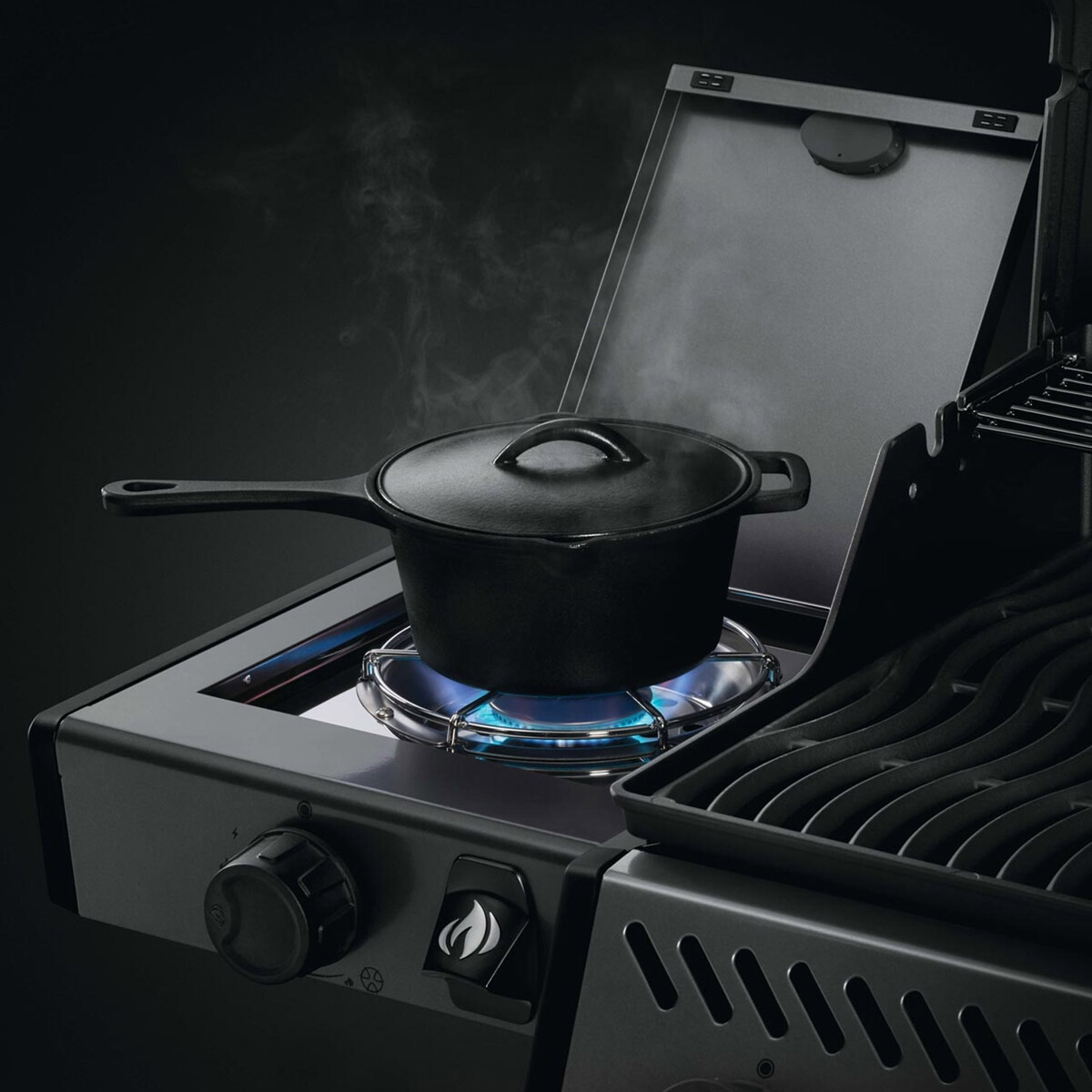 BARBECUE A GAS NAPOLEON FREESTYLE F365 SB