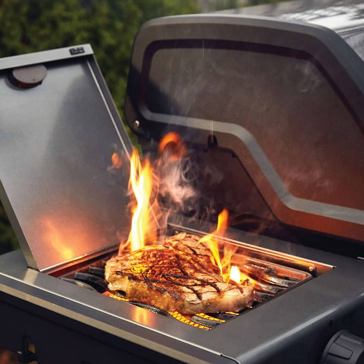 BARBECUE A GAS NAPOLEON FREESTYLE F365 SIB