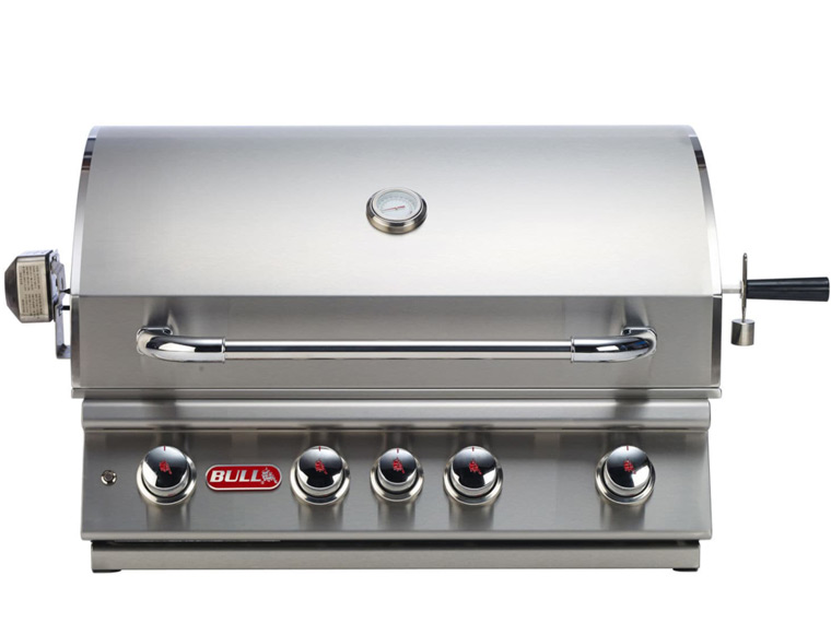 Bull Angus da incasso